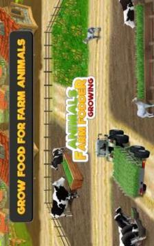 Animal Farm Fodder Growing游戲截圖3