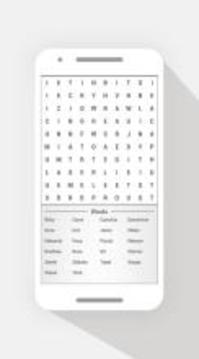 詞搜索縱橫字謎游戲截圖5