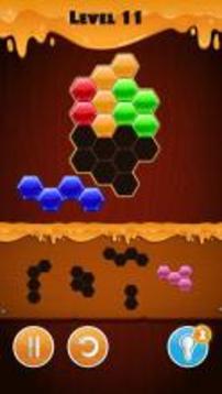 Hexa Puzzle - Challenge游戲截圖2