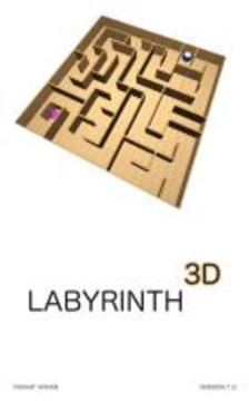 Labyrinth 3D / Maze 3D游戲截圖2
