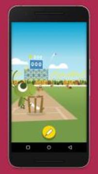 Cricket游戲截圖3