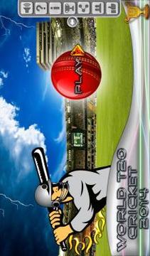 World T20 Cricket游戲截圖1