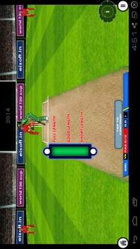 World T20 Cricket游戲截圖3