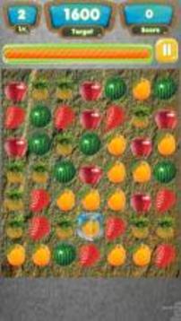 Fruit Bond游戲截圖3