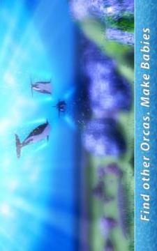 Orca Family Simulator游戲截圖2