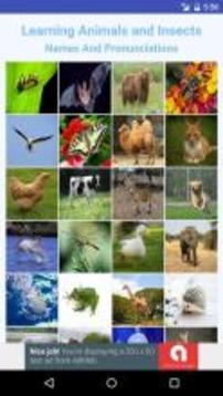 Learning Animals and Insects Flash Cards游戲截圖1