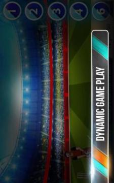 Best Cricket Premier League游戲截圖3