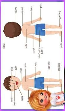 Learning The Body Parts游戲截圖2