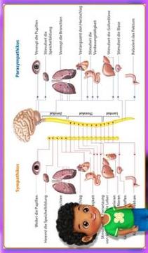 Learning The Body Parts游戲截圖1
