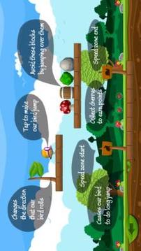 Running Bird Rio 2游戲截圖5