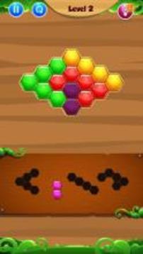 Hexagon Box Puzzle Game!游戲截圖3