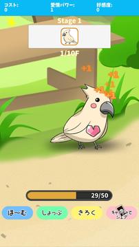 birdwatch ~healing-game~游戲截圖4