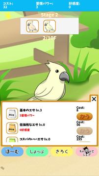 birdwatch ~healing-game~游戲截圖5