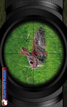 Animal Hunt Sniper Shooter游戏截图4