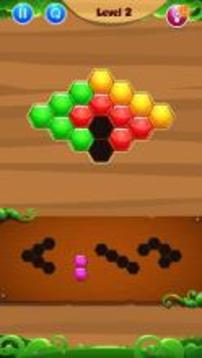 Hexagon Box Puzzle Game!游戲截圖4