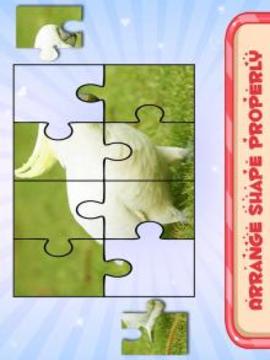 Bird Puzzle Toddler and Kids游戏截图2