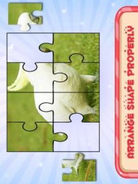 Bird Puzzle Toddler and Kids游戲截圖2