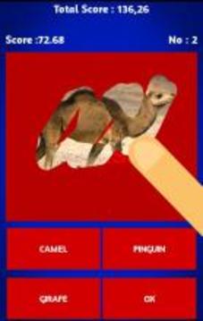 Scratch And Guess Animals游戲截圖2