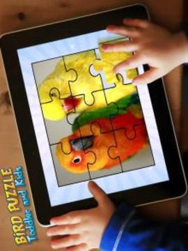 Bird Puzzle Toddler and Kids游戲截圖3