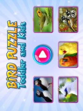 Bird Puzzle Toddler and Kids游戏截图1
