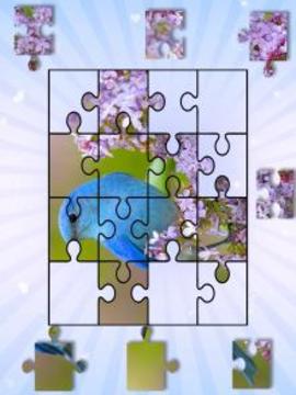 Bird Puzzle Toddler and Kids游戏截图5