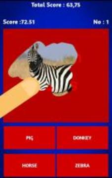 Scratch And Guess Animals游戲截圖1