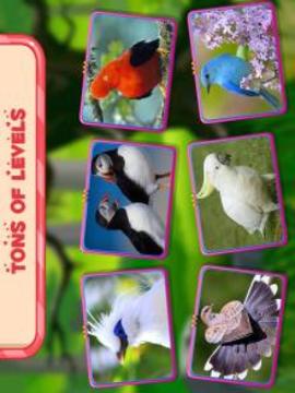 Bird Puzzle Toddler and Kids游戏截图4