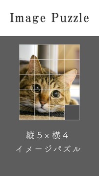 イメージパズル游戲截圖1