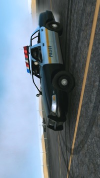 Police Car Driving Academy游戲截圖4