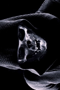 Terror House Ghost Scanner游戲截圖3