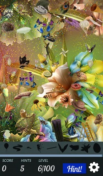 Hidden Object - Flower Power游戲截圖2