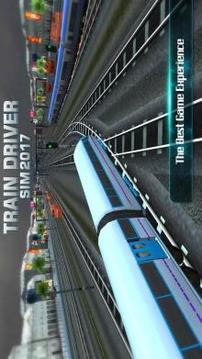 Train Driver Sim 2017游戲截圖1