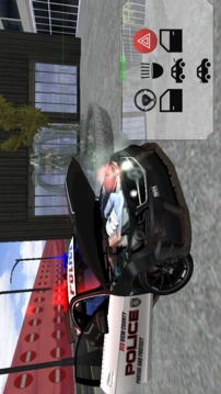 Police Hot Pursuit游戲截圖4