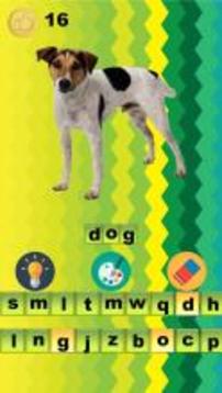 Guess animal on picture for kids 0+游戲截圖4