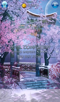 Hidden Pieces: Winter Spring游戲截圖4