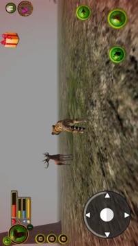 tiger wild crush游戲截圖4