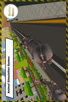 Hippo Game游戲截圖5