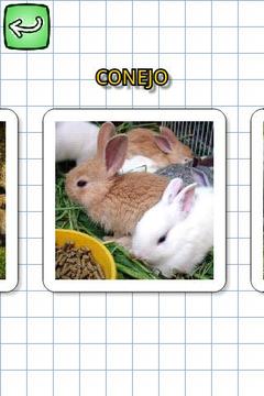 動物用西班牙語游戲截圖2