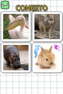 動物用西班牙語游戲截圖5