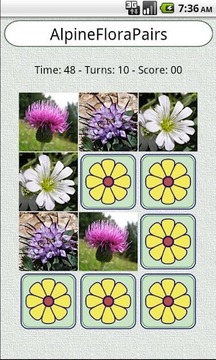 找相同 FloraPairs游戲截圖2