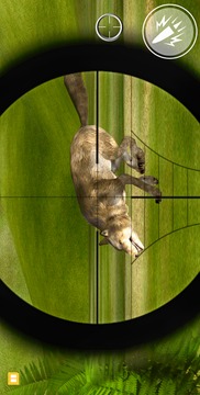 Modern Birds: Russian Hunter游戲截圖3