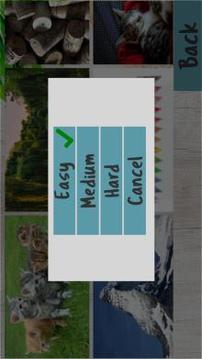 Free Jigsaw Puzzles by Sudo Games游戲截圖4