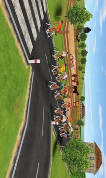 自行车竞技(Cycling 2011)游戏截图5