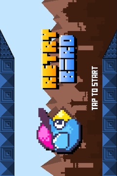 RETRY BIRD游戏截图1