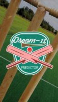 Dream 11 Predictor游戲截圖1