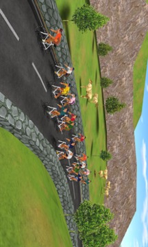 自行车竞技(Cycling 2011)游戏截图2