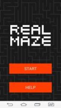 Real Maze游戲截圖1