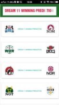 Dream 11 Predictor游戲截圖3