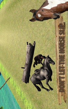 Horse Riding Adventure游戲截圖5