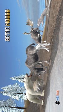 Arctic Moose游戏截图2